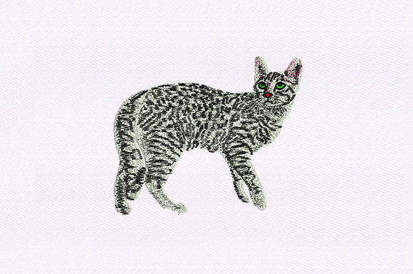 Black White Cat Design Review